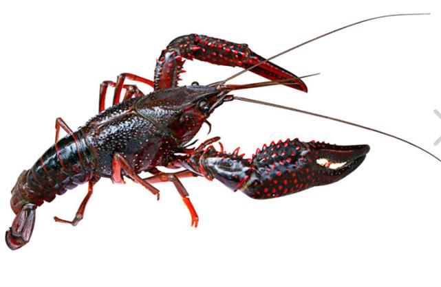  老板|【老板搞经营】读懂这5个法则，解决人生80%的不如意