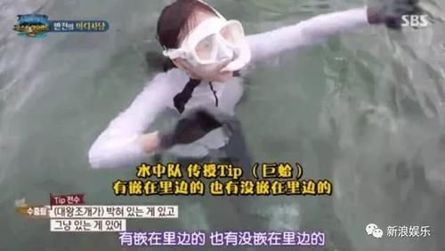  资格去采|每次都是艺人背锅，实惨！