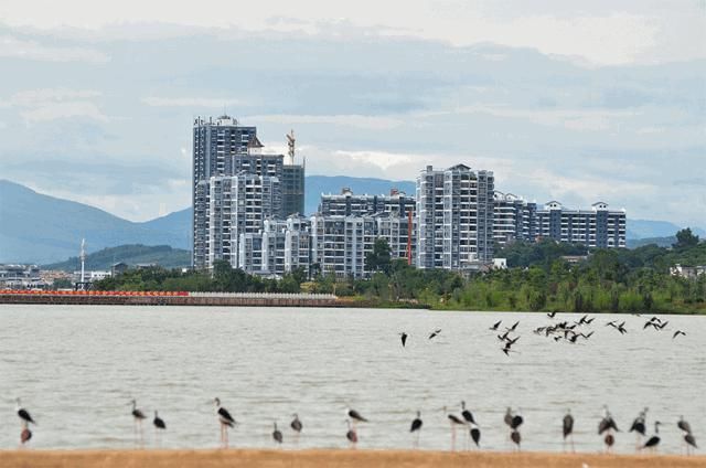  开远市|开远市“产业+生态”：“污染之城”华丽转身的金钥匙