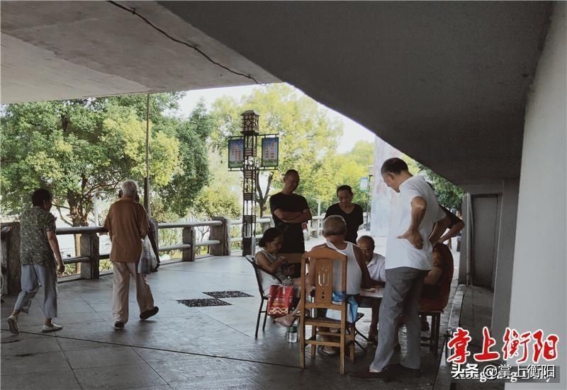 牌桌|风光带上牌桌扎堆！市民游客苦不堪言