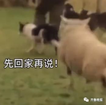 钱包|集体吐槽:假期被饭局安排了!你的钱包还好么?