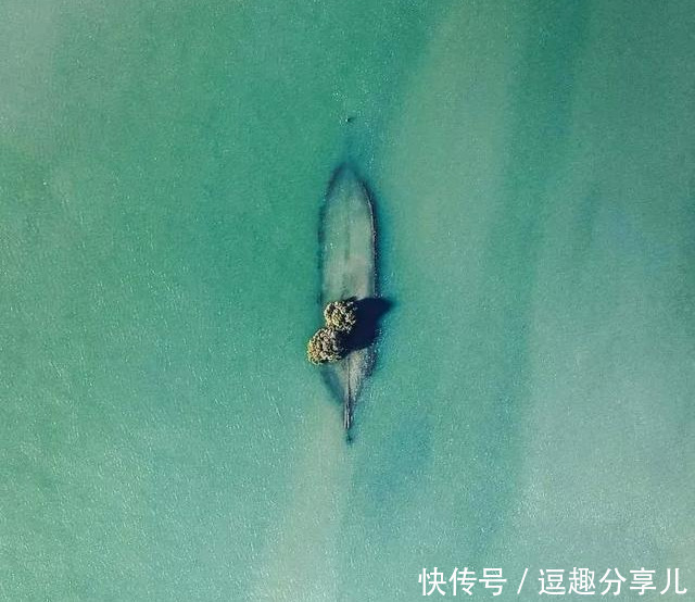 无所不能|那些人类遗忘的角落,大自然无所不能