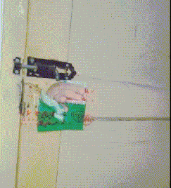 阴影|搞笑GIF:求他们爸妈的心理阴影面积