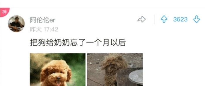 造作|笑死我了,大家看一下我的腿美嗎,來呀造作呀,反正有大把時光,