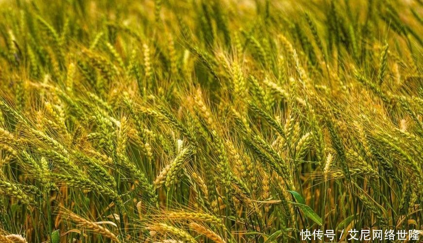 汉武帝发动对匈奴的战争,主要是因为匈奴