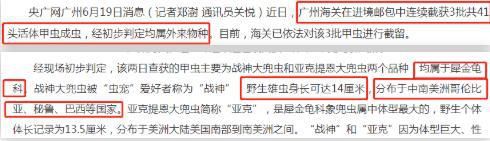  当成|洱海惊现外来物种，携带6000多条寄生虫，却被国人当成餐桌美味