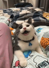 演技|搞笑GIF：人生如戏全靠演技，但是也太假了