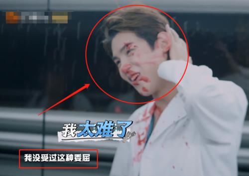  黄明昊|黄明昊遭NPC抹血喊委屈，“妈妈”杨幂贴心擦脸，画面太有爱