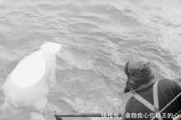 德军|捕杀北极熊,来顿烧烤!二战德军伙食潜艇兵最丰盛