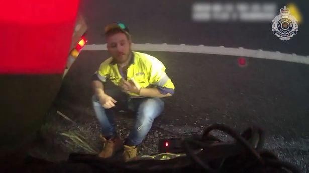  毫发|高速开车腿上忽现毒蛇，澳男子用安全带和小刀将其杀死毫发无伤