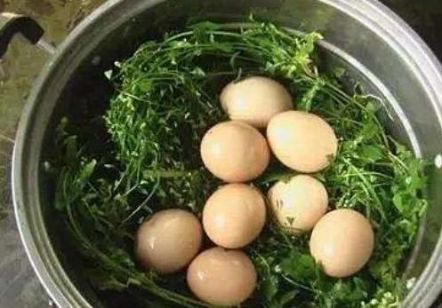 此物|女性时腰疼,用鸡蛋与此物煮一煮,腰不疼腿不酸,干啥都有劲