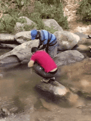 照片|15张隔着屏都感觉疼的照片，斗牛那个人，你以为隔着栅栏就安全么