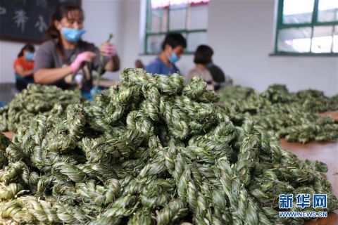 村民在道虎沟乡上泉|河北平泉：宠物饲料微工厂助脱贫