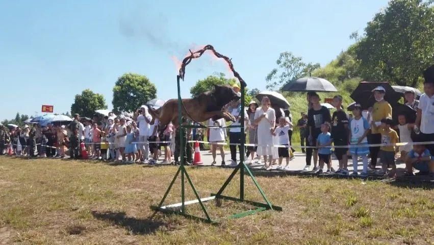 一睹|军营开放日，帮女郎带您一睹“兵哥哥”风采