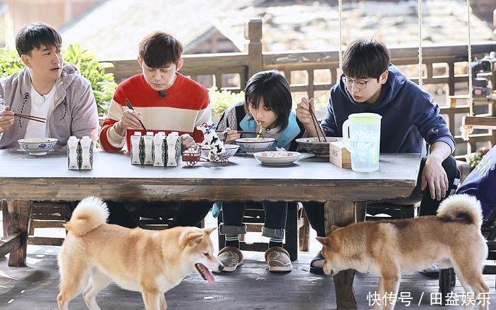 唱作人|热门综艺大换血,并非全是明星人设改变所致丨业内说