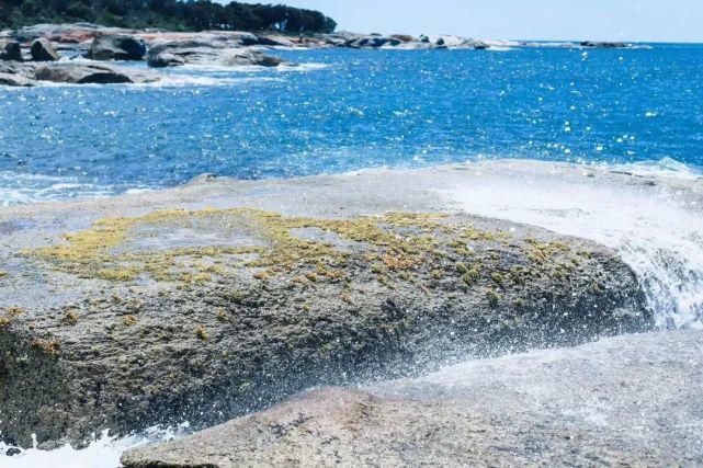  风景|塔斯马尼亚 | 世界尽头那颗绿色的心，是我念念不忘的风景