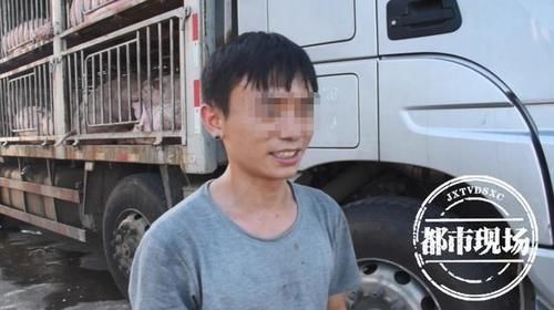  高速|看“傻”了！两男子高速上抱着一头猪，接下来还有神操作