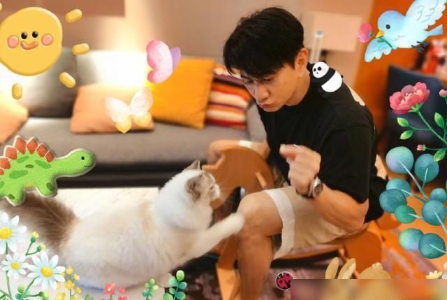  嘉宾|“军艺校草”杨洋新综艺来袭，网曝嘉宾阵容豪华，这节目追定了！