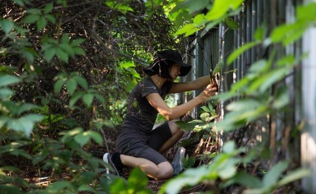  追踪|在北京追踪野生动物：15岁女孩红外相机里的城市秘影