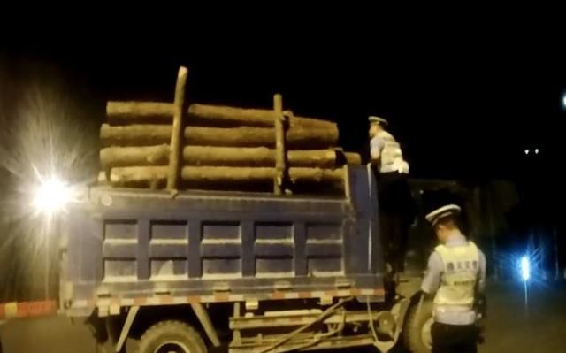  往里面|几根木头搭建“简易货箱”司机往里面堆放了1.7米高的货