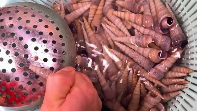 难以|爆炒钉螺，经济实惠不亚于小龙虾，做法简单麻辣咸香，难以抗拒！