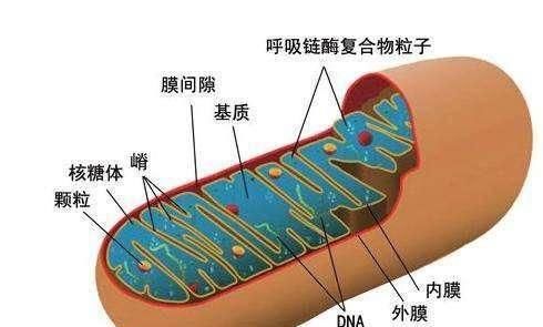  深层|宇宙揭秘：你到底是谁？深层分析你到底是怎样的存在！