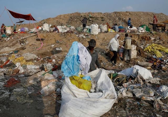  艰难|印度首都医疗废弃物暴增成患 拾荒者冒着染疫风险艰难求生