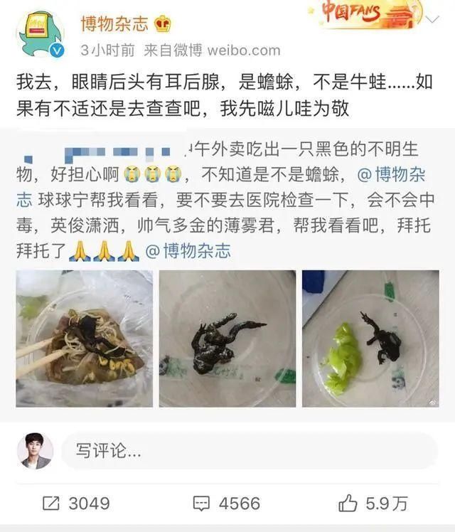 外卖|看吐！姑娘点份外卖吃到一半发现癞蛤蟆，商家回应更让人窒息