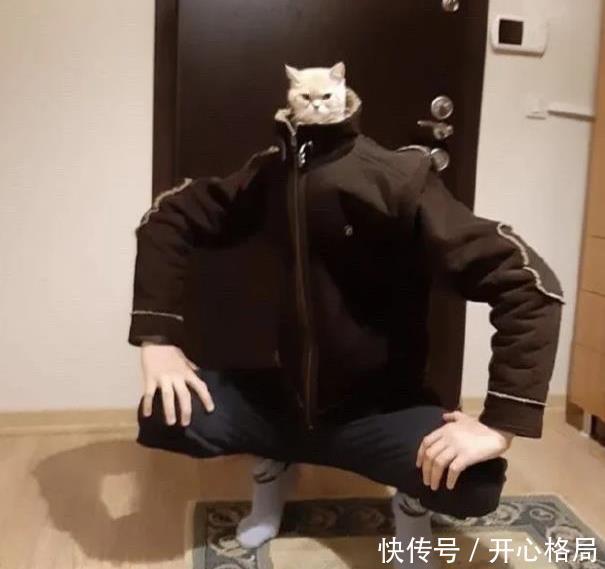  变异|“第一次在长白山遇见白狐，这代表什么？”哈哈哈不会是变异狗吧