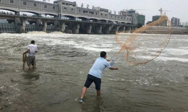  落入|「现场」一少年落入颍河闸湍急的水中！还有这些场景让人担忧