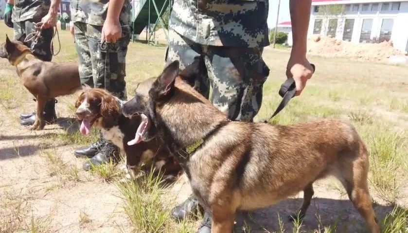 一睹|军营开放日，帮女郎带您一睹“兵哥哥”风采