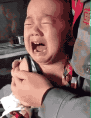 GIF|搞笑GIF：哥们，你这是在用鸽子做导航吗？想象力真丰富