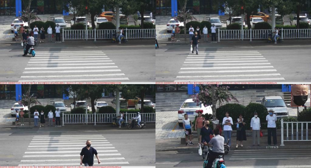 曝光|泰安这些车和人被警方曝光！原因是……