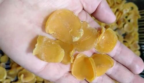 冬季|秋季,这菜正上市,才2毛多钱1斤,多买些一蒸一晒,冬季炒肉最香