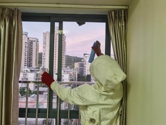 江门|厕所窗户发现马蜂窝,5月以来,江门消防已处置285次蜂窝警情