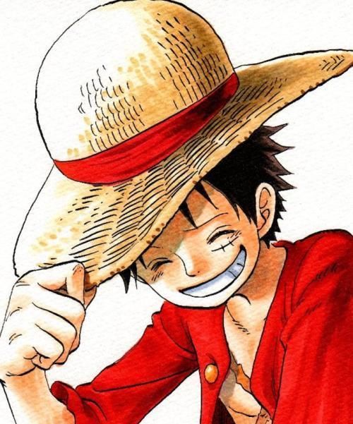  敢爱敢恨|海贼王: 路飞和二哈的性格特点, 惊人的相似度, 能代表路飞的性格