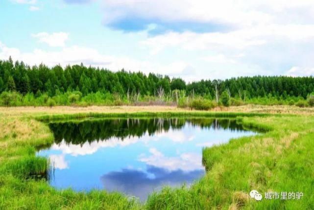  长白山|三伏暑热天，让我带你去这些只有25°的地方纳凉吧！