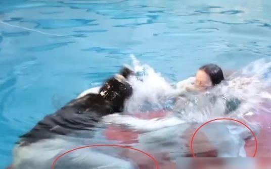 高伟光|谁注意热巴高伟光水中射击?幸运的是,相机只拍了前半部分