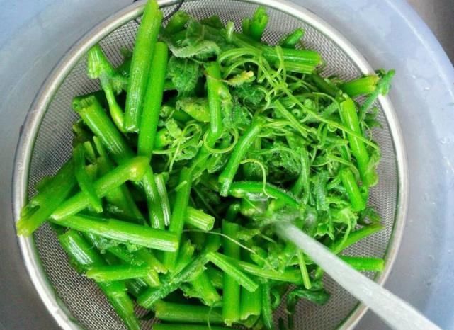  小蛮|立秋后，碰到它必买10斤，是菜是药，湿气消失了，帮你瘦出小蛮腰