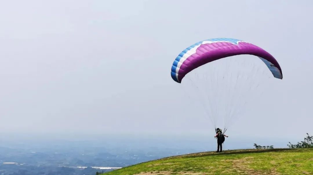  仁寿|仁寿有个村，名字叫“同意”！