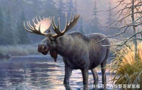 青铜|《山海经》是真的？专家说：可能是真的，参考姜子牙的坐骑四不像