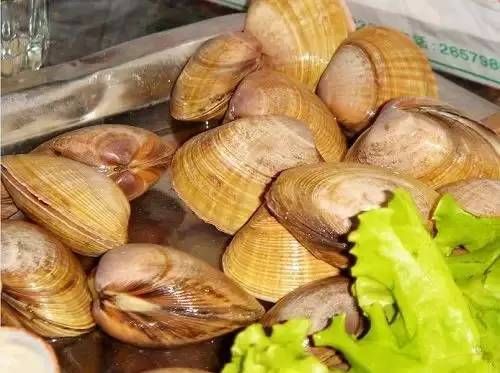  海鲜|长乐：海鲜的世界，吃货的天堂！