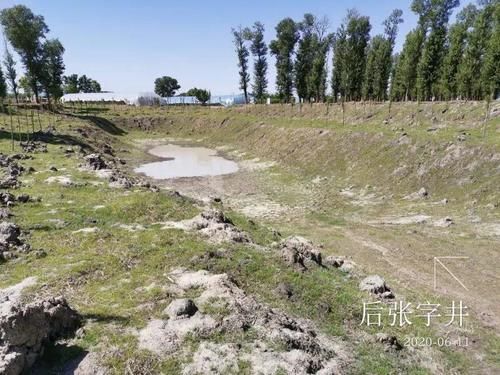 林地|公益诉讼 | “今年秋天，我们会完成……”