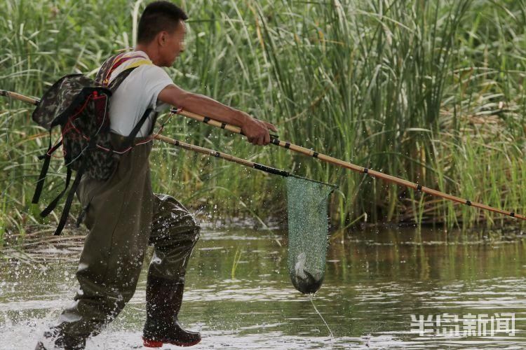 李村河|李村河胜利桥段:4名男子非法电鱼 严重破坏生态平衡