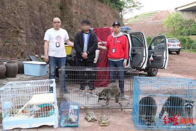  抓获|四川泸州警方破获跨省野生动物买卖案，解救水獭猕猴等多只国家保护动物