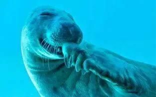 分享|【分享】彩友众生相：中奖之后，你会怎么做？