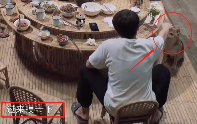  彭昱畅|向往4收官，巴图蘑菇屋翻唱《心墙》，我却在关注彭昱畅的举动