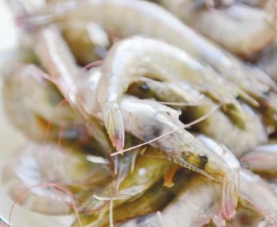 酥软|用春卷皮做一道美味小吃,金黄酥软,鲜香十足,快来试试