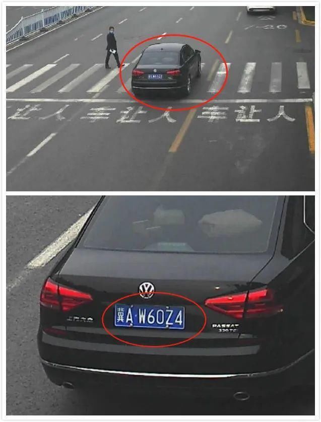 画面|石家庄最新行人、驾驶人曝光画面！快看有你认识的吗？