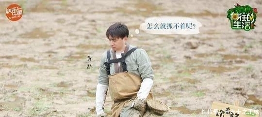 生活|勾心斗角!《向往的生活》为何越来越无聊?答案全程写在嘉宾脸上